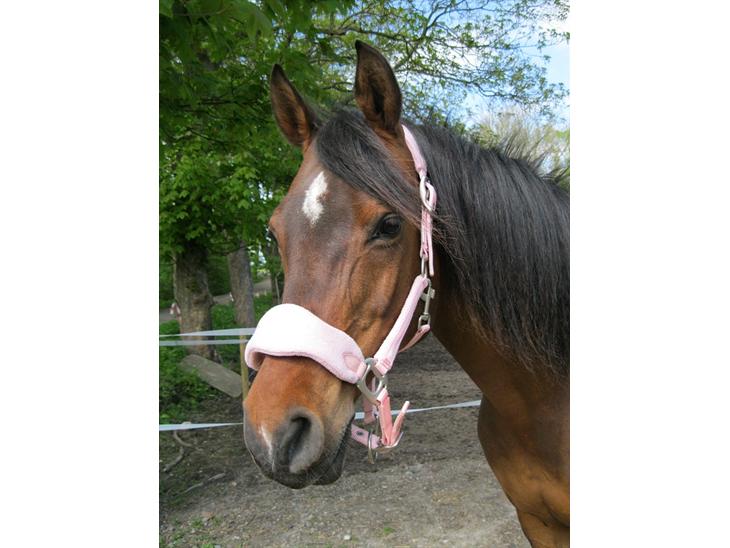 {{currentPhoto.altText}} billede {{currentPhoto.number}}