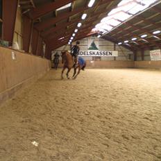 Anden særlig race Branco. 