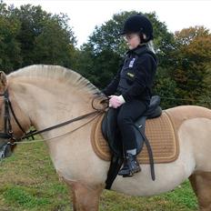 Anden særlig race Tulle (solgt og savnet)