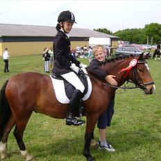 Anden særlig race amigo A-pony ¤solgt¤
