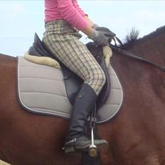 Anden særlig race Sheik 