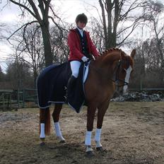 Anden særlig race Flying Shadow  SOLGT