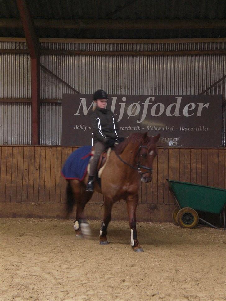 Anden særlig race Branco.  - da jeg var ude og prøve ham:D billede 2