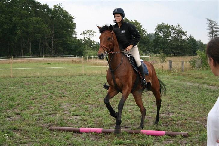 Holstener Cool Breeze *SOLGT!* billede 17