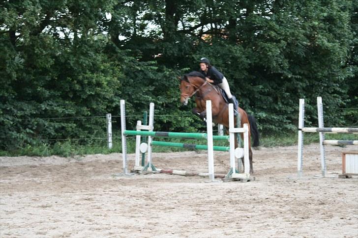 Holstener Cool Breeze *SOLGT!* billede 18