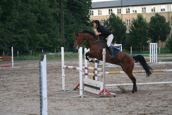 Holstener Cool Breeze *SOLGT!* billede 19