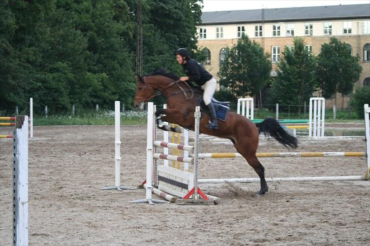 Holstener Cool Breeze *SOLGT!* billede 20