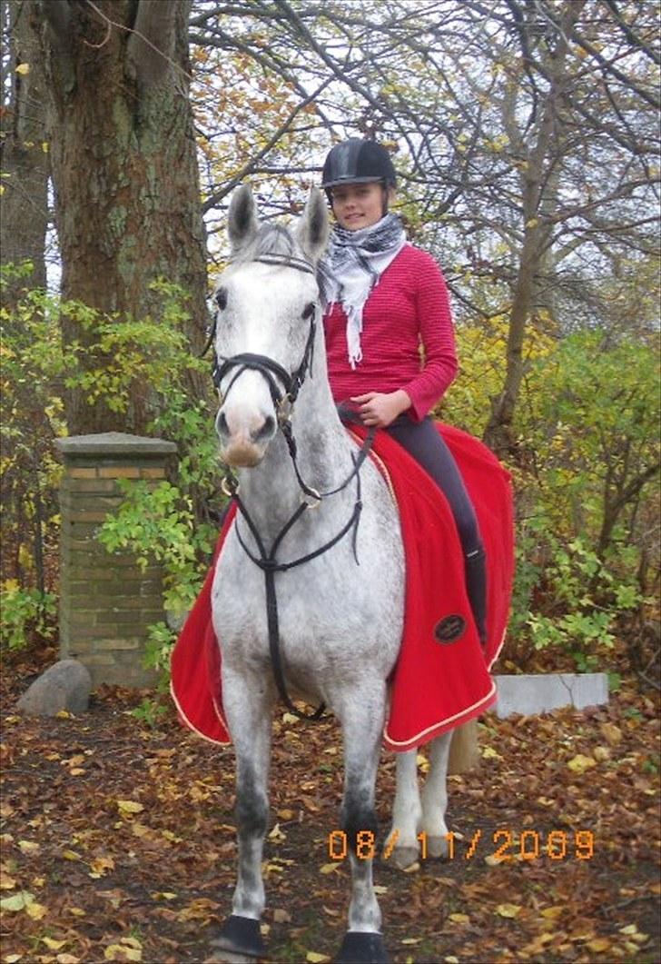 Anden særlig race Amigo - Efterår 2010  billede 4