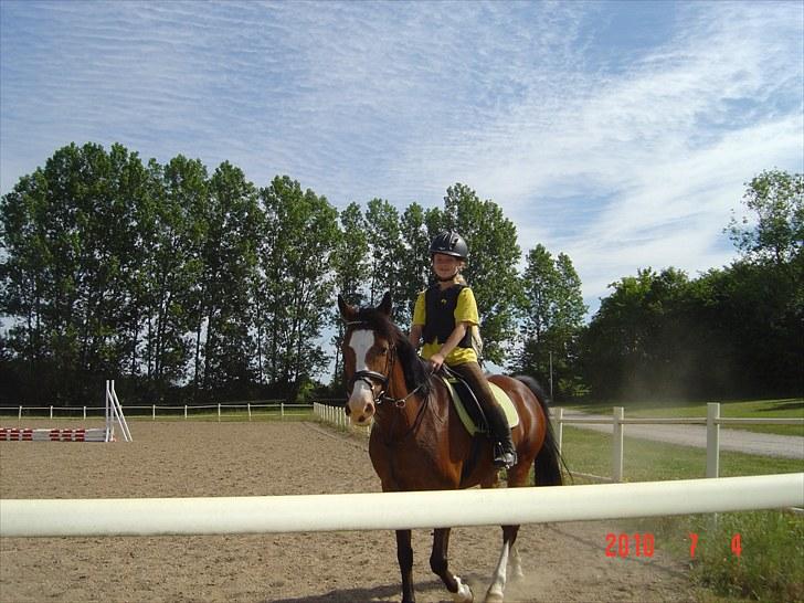 Anden særlig race White nose lady billede 3