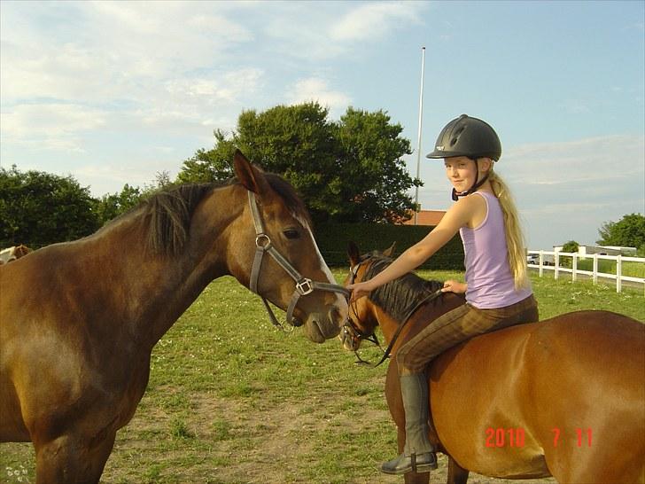 Anden særlig race White nose lady billede 7