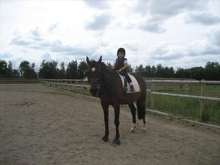 Dansk Varmblod Kiki "lynild" vogt - Isabella efter vi har øvet voltigering billede 11