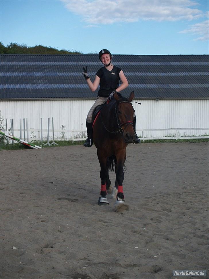 Oldenborg FREDRIK - Hygge efter spring:) Foto: Caroline billede 3