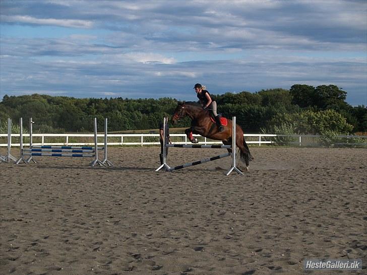Oldenborg FREDRIK - Springtræning :) Foto: Caroline billede 4