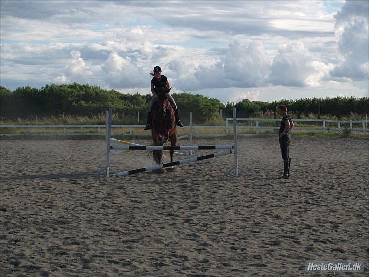 Oldenborg FREDRIK - Springtræning :) Foto: Caroline billede 5