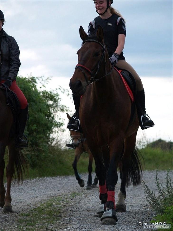 Oldenborg FREDRIK - Skridt tur :) Foto: Caroline billede 6