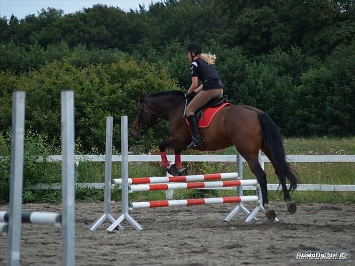 Oldenborg FREDRIK - Spring over Oxer:) Foto: Caroline billede 10