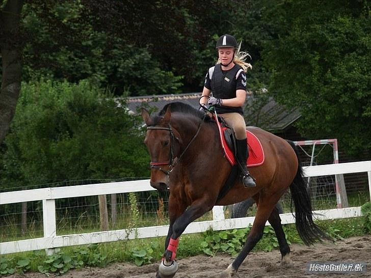 Oldenborg FREDRIK - Flotte Frede :D Ved ikke hva der sker for mit ben ;) Foto: Caroline billede 11