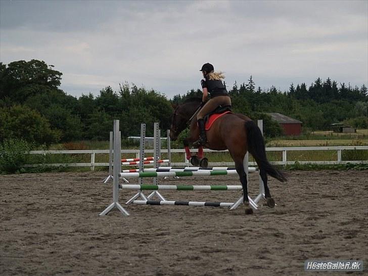 Oldenborg FREDRIK - Spring:) Foto: Caroline billede 12