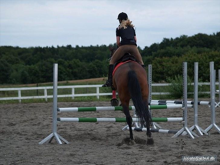 Oldenborg FREDRIK - Når enden er go´ er alting godt! :D Foto: Caroline billede 18