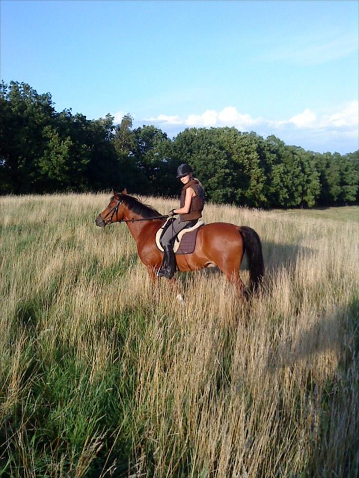 Anden særlig race Indy Boy Lærkebo Wonderboy - indy og mig i græsset. Foto: Jose billede 19