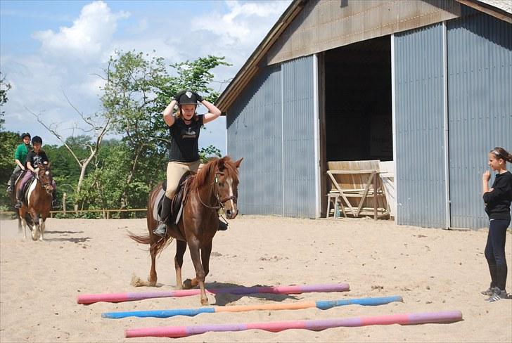 Anden særlig race Lady (Tidligere part) billede 18