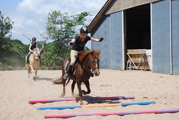 Anden særlig race Lady (Tidligere part) billede 19