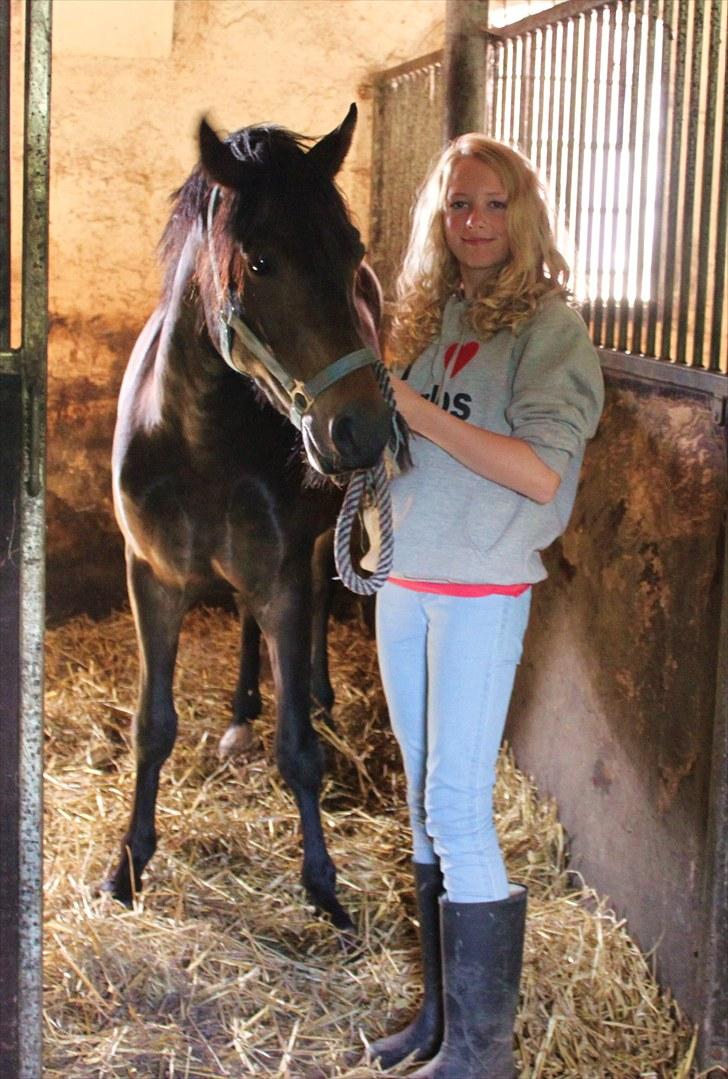 New Forest *Lillevang Carlos* - Smukke Carlos! :D På min trøje står der I <3 Carlos - det er så rigtigt! 3 års billede 6