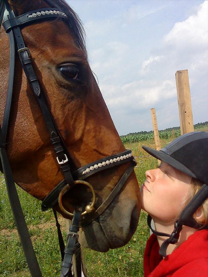 Anden særlig race Stensgaardens mistral billede 4