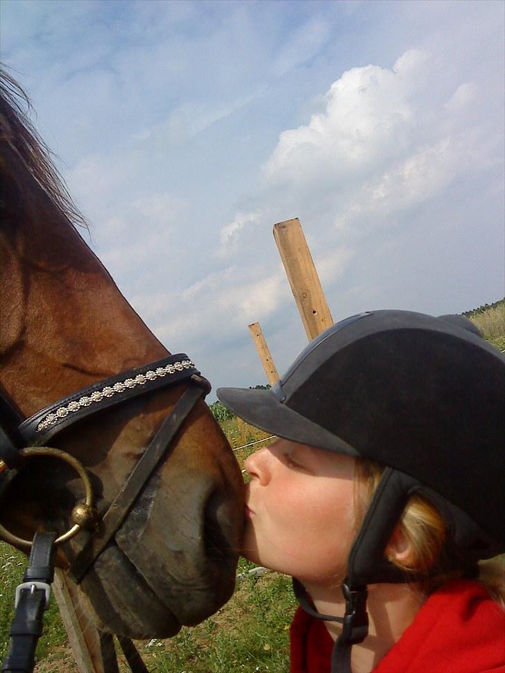 Anden særlig race Stensgaardens mistral billede 5