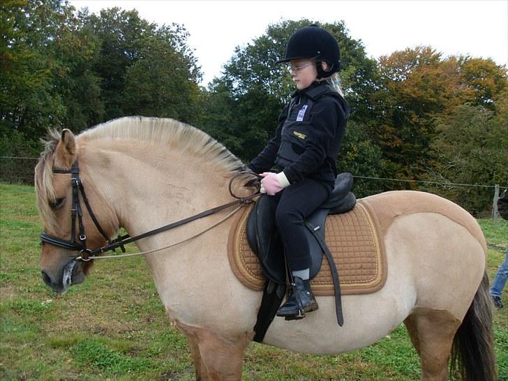 Anden særlig race Tulle (solgt og savnet) - Min første ridetur på Tulle som ejer - Det er til min 8 års fødselsdag :O) billede 3