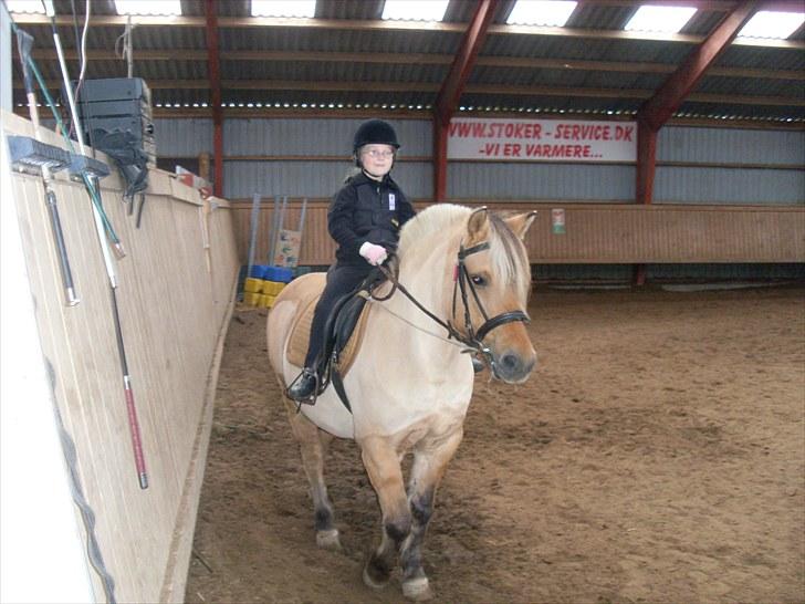 Anden særlig race Tulle (solgt og savnet) billede 4