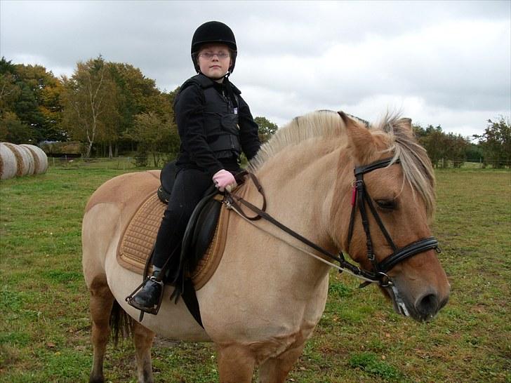 Anden særlig race Tulle (solgt og savnet) billede 5