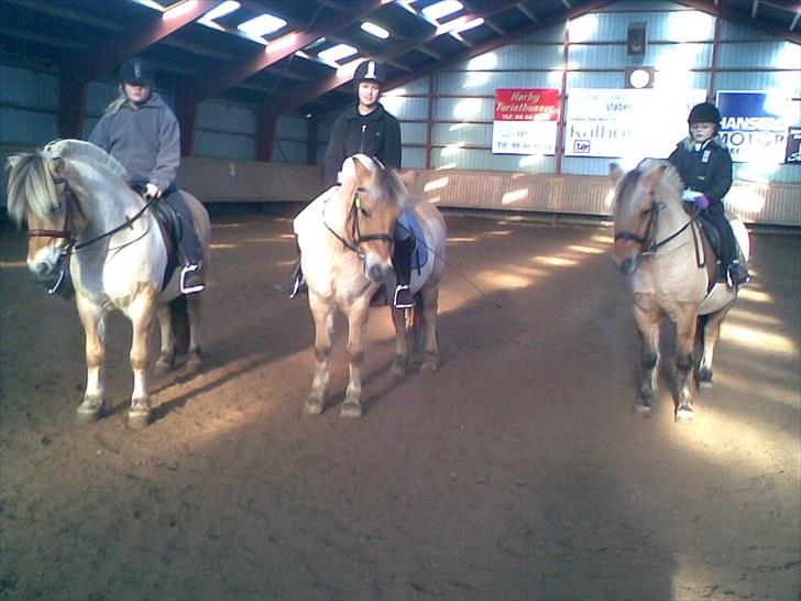 Anden særlig race Tulle (solgt og savnet) - Vi øver kvadrille ridning til vores juleopvisning på rideskolen billede 6