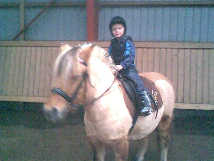 Anden særlig race Tulle (solgt og savnet) - Min Lillebror Danny prøver en tur på Tulle billede 7