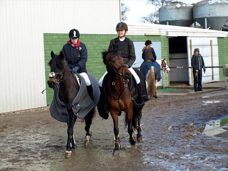 Anden særlig race lucky star billede 17