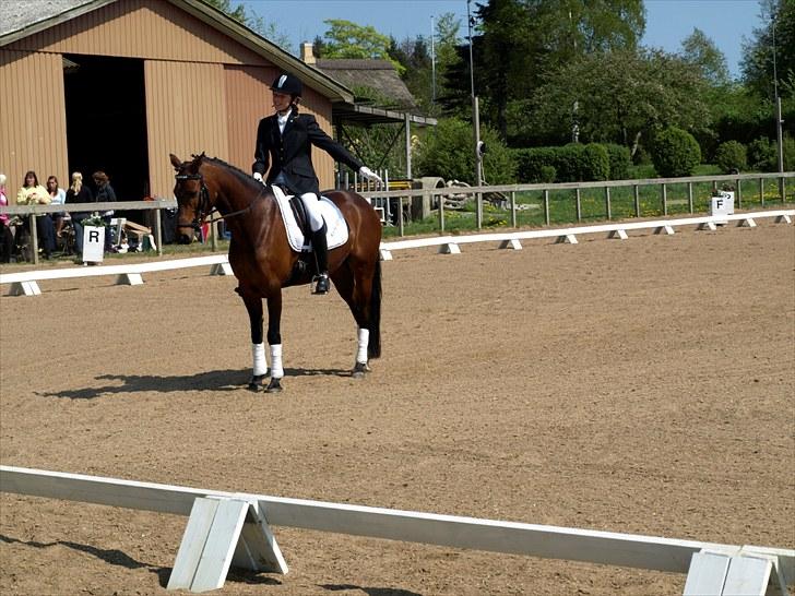 Anden særlig race lucky star billede 18