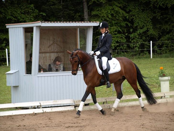 Anden særlig race lucky star billede 19