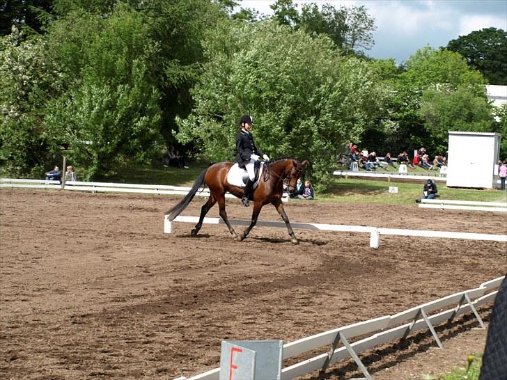 Anden særlig race lucky star billede 20