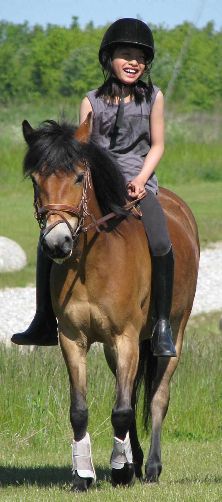 Gotlandsruss Bolina *Solgt&Savnet<3* - Bo og jeg til kæledyrs dag på skolen! Hun var virkelig sød <33 Billede er taget af min mor... billede 18