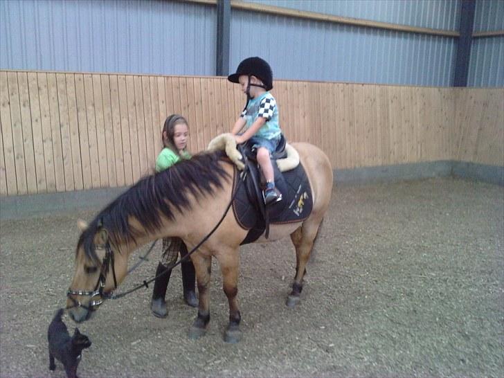 Anden særlig race Tarzan  #SOLGT# billede 16