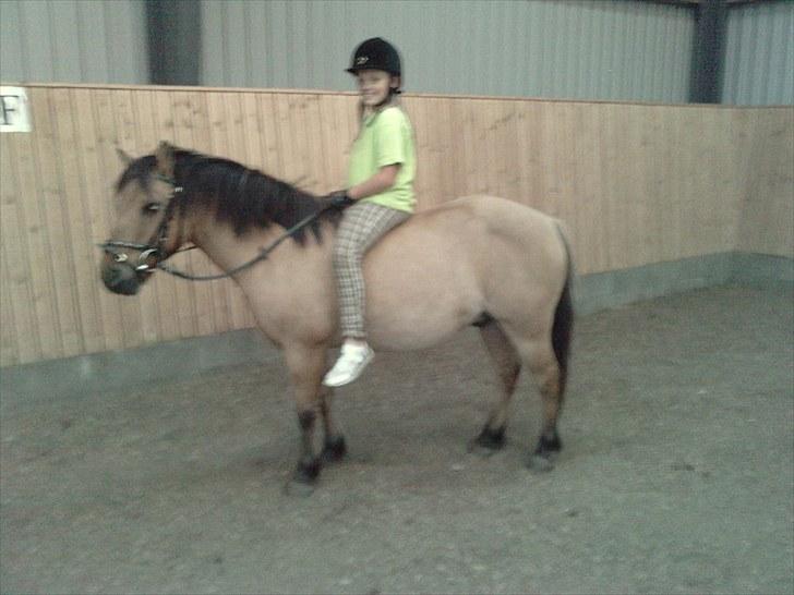 Anden særlig race Tarzan  #SOLGT# billede 18