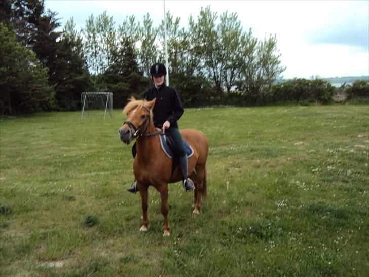 Anden særlig race Cassa - en god veninde red den på tur hun var meget sød og bagefter og tog vi et billed billede 2