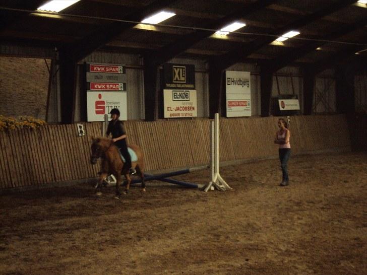 Anden særlig race Cassa - vi springer desværre lidt utydelige men den er god nok!!! billede 4