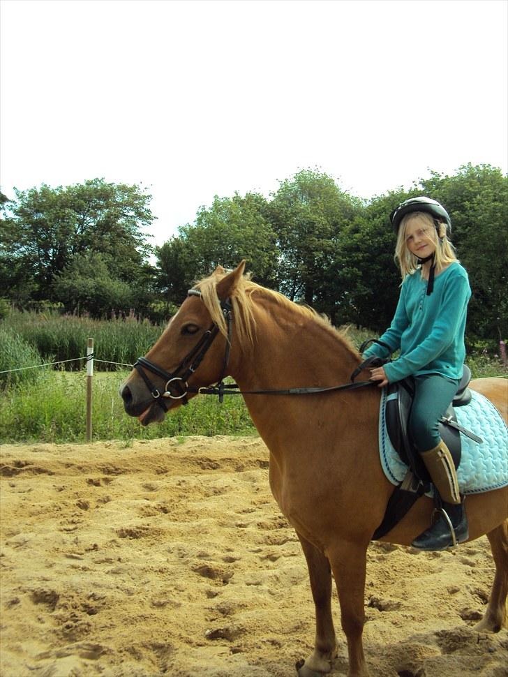 Anden særlig race Cassa - min lillesøster billede 7