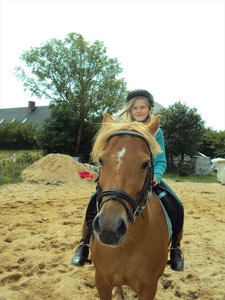 Anden særlig race Cassa - smil til fotografen... billede 8