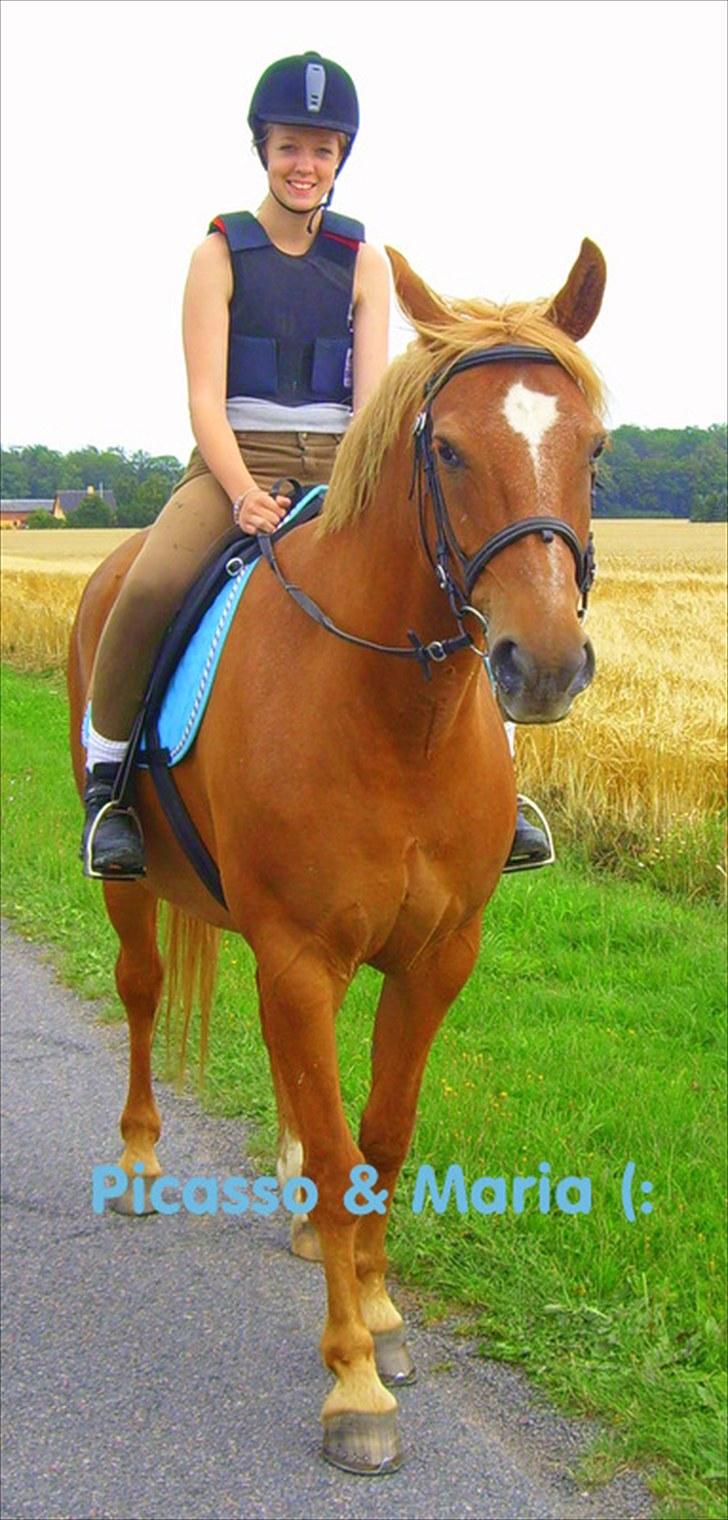 Anden særlig race Picasso billede 2