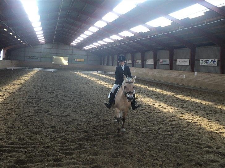 Anden særlig race Lucky<3 - sponsorstævne:) billede 4