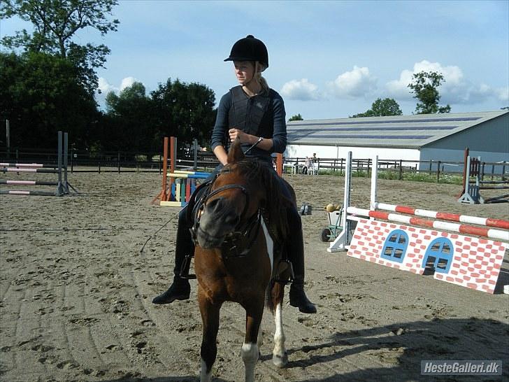 Anden særlig race *Vedhaugegårds High Five* SOLGT - haha xD  billede 8