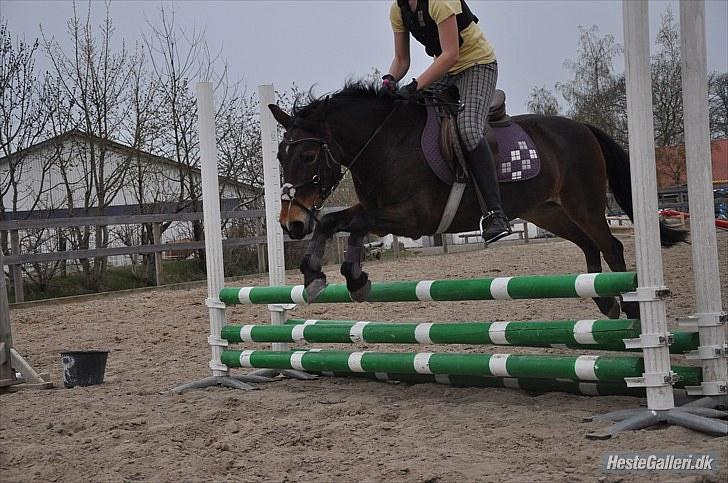 Anden særlig race May Day<3*Gml.part&solgt* - Fordi du er unik!<3 *Foto:Emilie* billede 9