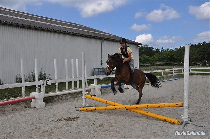 Anden særlig race May Day<3*Gml.part&solgt* - Fordi du vil gøre dit bedste for at vinde!<3 *Foto:Sarah* billede 11